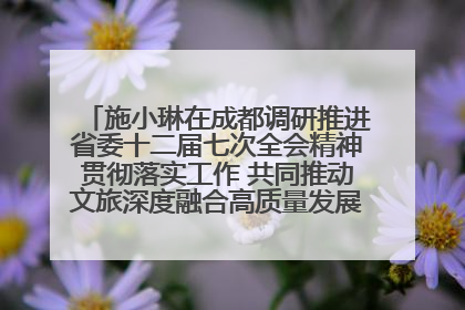 施小琳在成都调研推进省委十二届七次全会精神贯彻落实工作 共同推动文旅深度融合高质量发展 加快打造支柱产业民生产业幸福产业
