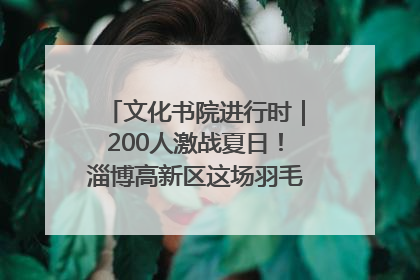 文化书院进行时｜200人激战夏日！淄博高新区这场羽毛球比赛太酷
