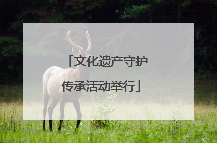 文化遗产守护传承活动举行