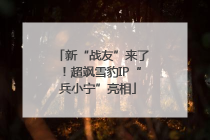 新“战友”来了！超飒雪豹IP“兵小宁”亮相