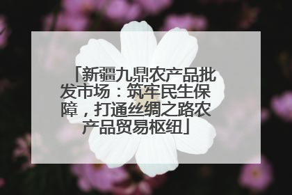 新疆九鼎农产品批发市场：筑牢民生保障，打通丝绸之路农产品贸易枢纽