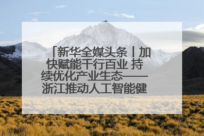 新华全媒头条丨加快赋能千行百业 持续优化产业生态——浙江推动人工智能健康有序发展观察