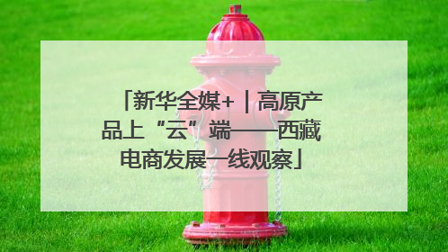 新华全媒+｜高原产品上“云”端——西藏电商发展一线观察
