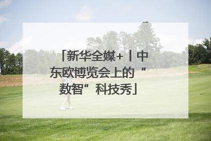 新华全媒+丨中东欧博览会上的“数智”科技秀