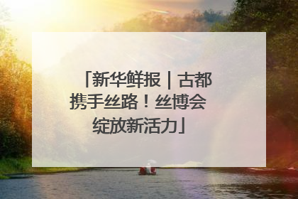 新华鲜报｜古都携手丝路！丝博会绽放新活力