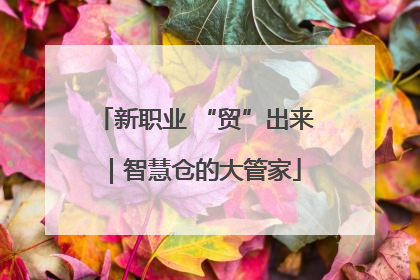 新职业 “贸”出来｜智慧仓的大管家