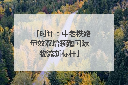 时评：中老铁路量效双增领跑国际物流新标杆