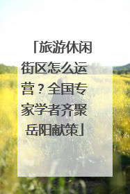 旅游休闲街区怎么运营？全国专家学者齐聚岳阳献策