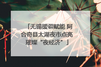 无锡援疆赋能 阿合奇县太湖夜市点亮璀璨“夜经济”