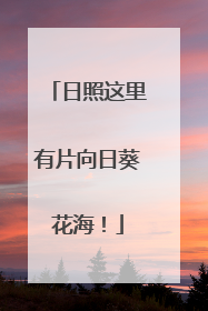 日照这里有片向日葵花海！