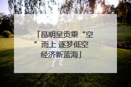 昆明呈贡乘“空”而上 逐梦低空经济新蓝海