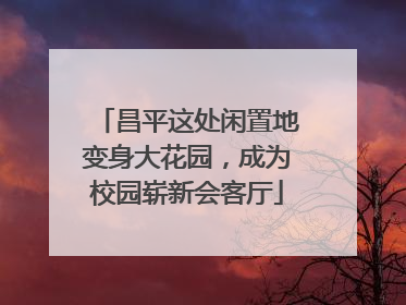 昌平这处闲置地变身大花园，成为校园崭新会客厅
