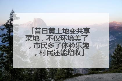 昔日黄土地变共享菜地，不仅环境美了，市民多了体验乐趣，村民还能增收
