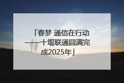 春梦 通信在行动——十堰联通圆满完成2025年