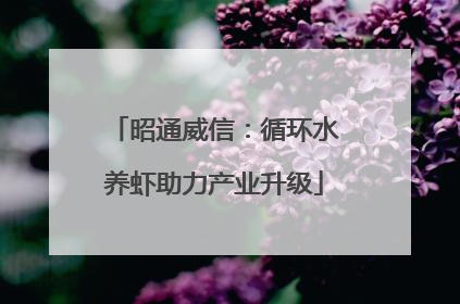 昭通威信:循环水养虾助力产业升级