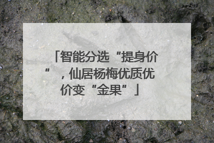 智能分选“提身价”，仙居杨梅优质优价变“金果”