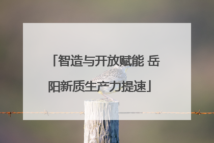 智造与开放赋能 岳阳新质生产力提速