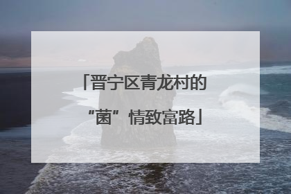 晋宁区青龙村的“菌”情致富路