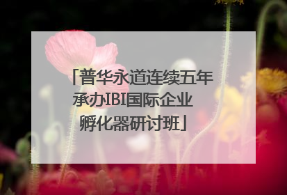 普华永道连续五年承办IBI国际企业孵化器研讨班