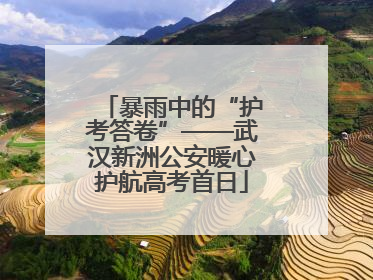 暴雨中的“护考答卷”——武汉新洲公安暖心护航高考首日