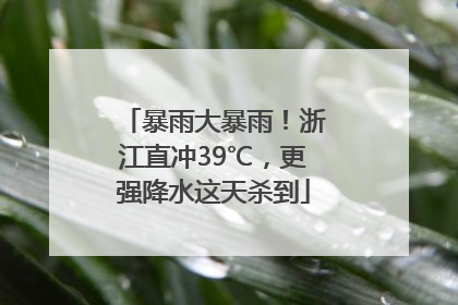 暴雨大暴雨！浙江直冲39℃，更强降水这天杀到