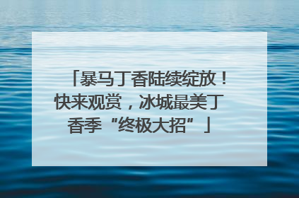 暴马丁香陆续绽放！快来观赏，冰城最美丁香季“终极大招”