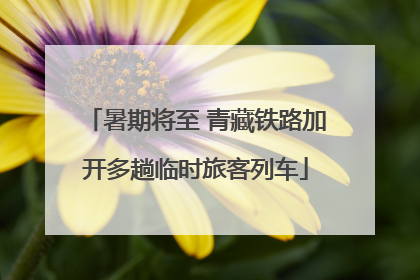 暑期将至 青藏铁路加开多趟临时旅客列车