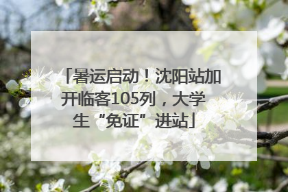 暑运启动！沈阳站加开临客105列，大学生“免证”进站