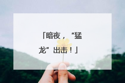 暗夜，“猛龙”出击！