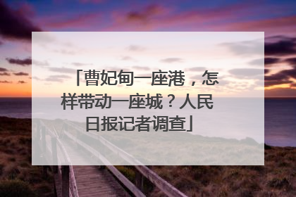 曹妃甸一座港，怎样带动一座城？人民日报记者调查