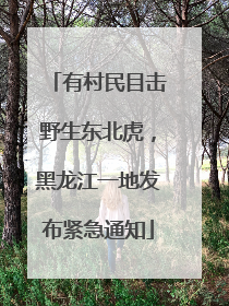 有村民目击野生东北虎，黑龙江一地发布紧急通知