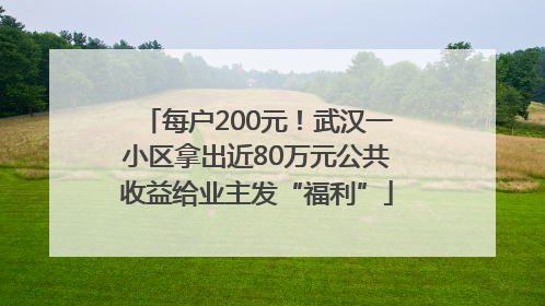 每户200元！武汉一小区拿出近80万元公共收益给业主发“福利”