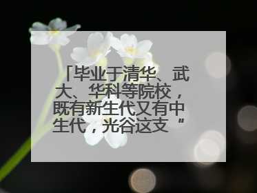 毕业于清华、武大、华科等院校，既有新生代又有中生代，光谷这支“理工男团”为何“出道”？