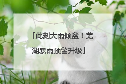 此刻大雨倾盆！芜湖暴雨预警升级