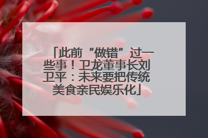 此前“做错”过一些事！卫龙董事长刘卫平：未来要把传统美食亲民娱乐化
