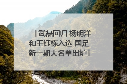武磊回归 杨明洋和王钰栋入选 国足新一期大名单出炉