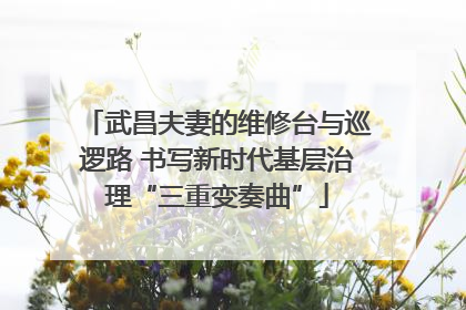 武昌夫妻的维修台与巡逻路 书写新时代基层治理“三重变奏曲”