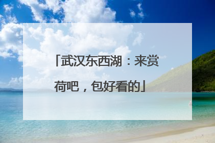 武汉东西湖：来赏荷吧，包好看的