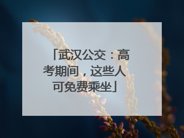 武汉公交：高考期间，这些人可免费乘坐