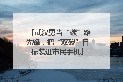 武汉勇当“碳”路先锋，把“双碳”目标装进市民手机