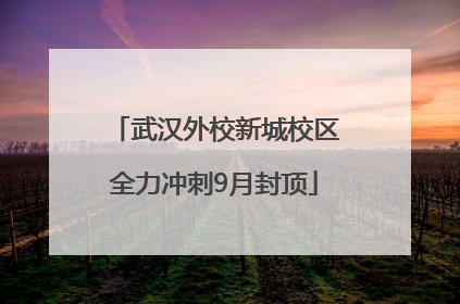 武汉外校新城校区全力冲刺9月封顶