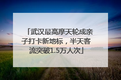 武汉最高摩天轮成亲子打卡新地标，半天客流突破1.5万人次