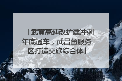 武黄高速改扩建冲刺年底通车，武昌鱼服务区打造交旅综合体