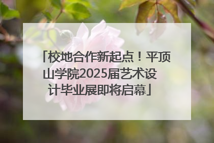 校地合作新起点！平顶山学院2025届艺术设计毕业展即将启幕