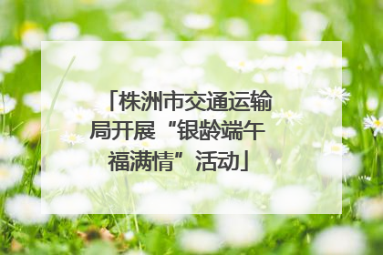 株洲市交通运输局开展“银龄端午福满情”活动