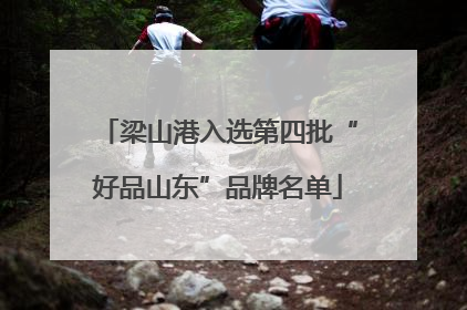 梁山港入选第四批“好品山东”品牌名单