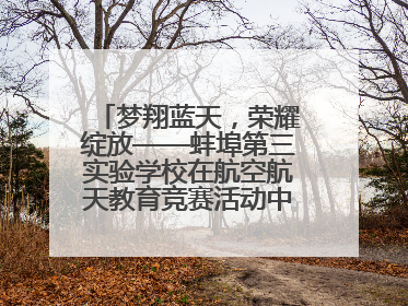梦翔蓝天，荣耀绽放——蚌埠第三实验学校在航空航天教育竞赛活动中大放异彩