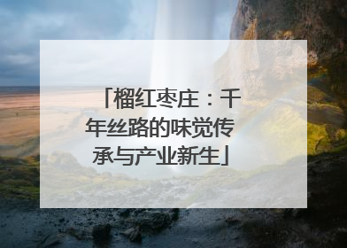 榴红枣庄：千年丝路的味觉传承与产业新生