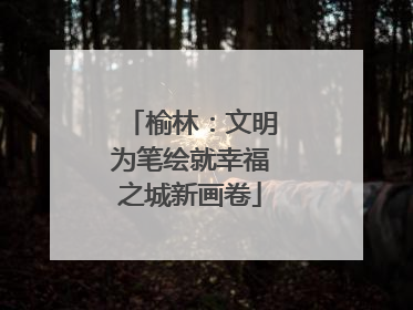 榆林：文明为笔绘就幸福之城新画卷
