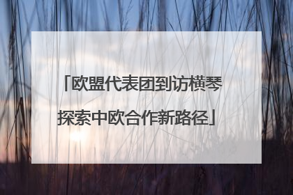 欧盟代表团到访横琴 探索中欧合作新路径